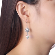 Picture of Swarovski Element Medium Dangle Earrings 3LK053676E
