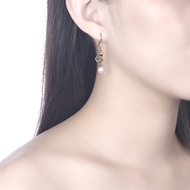 Picture of  Simple Casual Dangle Earrings 3LK054362E