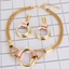 Show details for Zinc Alloy Casual Necklace and Earring Set with Low MOQ