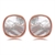 Picture of Cheap Rose Gold Plated Classic Stud Earrings From Reliable Factory