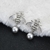 Picture of Black Cubic Zirconia Dangle Earrings Best Price