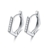 Picture of Good Quality Cubic Zirconia Platinum Plated Small Hoop Earrings