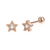 Picture of Beautiful Cubic Zirconia Rose Gold Plated Stud Earrings