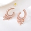 Show details for Top Cubic Zirconia Rose Gold Plated Stud Earrings