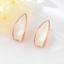 Show details for Classic Zinc Alloy Stud Earrings with Unbeatable Quality