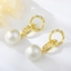 Show details for Beautiful Big Zinc Alloy Dangle Earrings