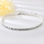 Show details for Delicate Medium Choker Online Only