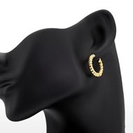 Picture of Delicate Gold Plated Huggie Earrings Wholesale Price